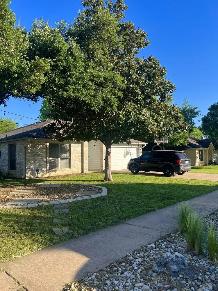 Professional residential landscaping in Pflugerville, TX - Clear Horizon Property