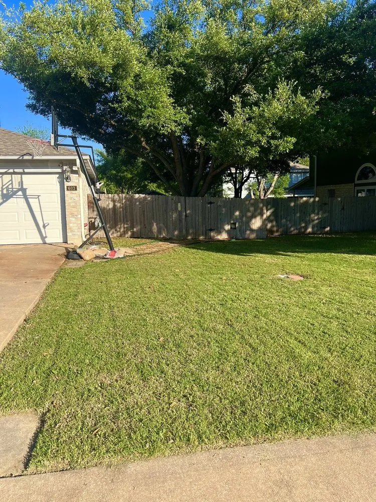 Expert garden landscaping for beautiful yards in Pflugerville, TX by Clear Horizon Property
