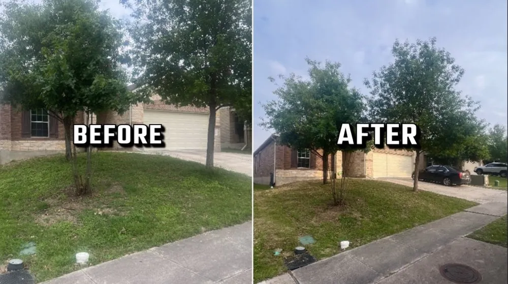 Trusted landscaping services in Pflugerville, TX - Clear Horizon Property