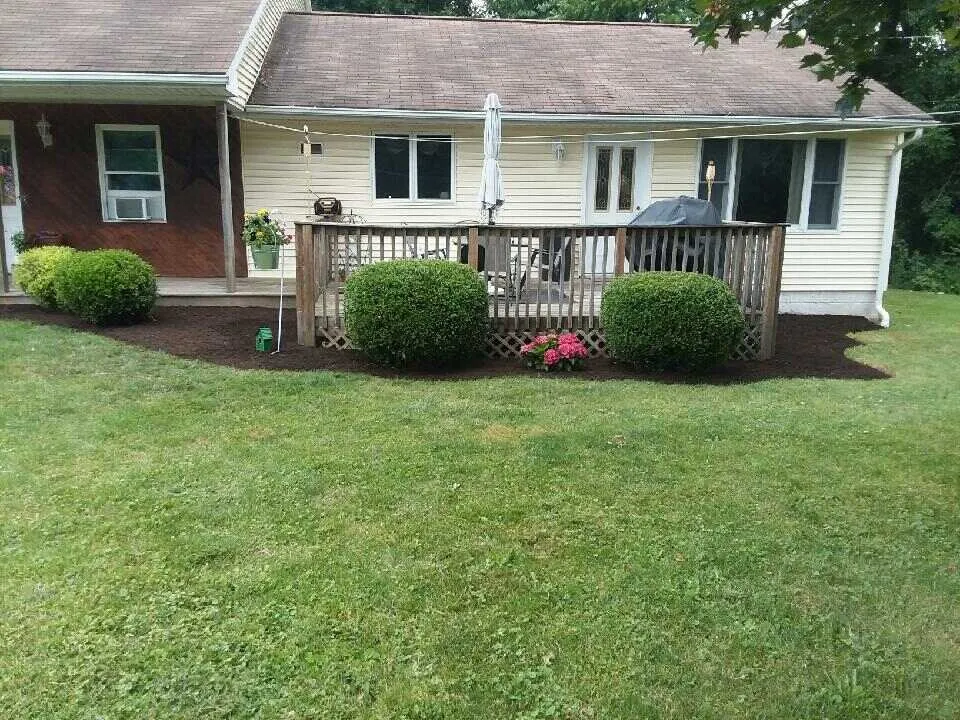 Professional yard cleanup service for residential properties across Hannibal, NY - Clear Image