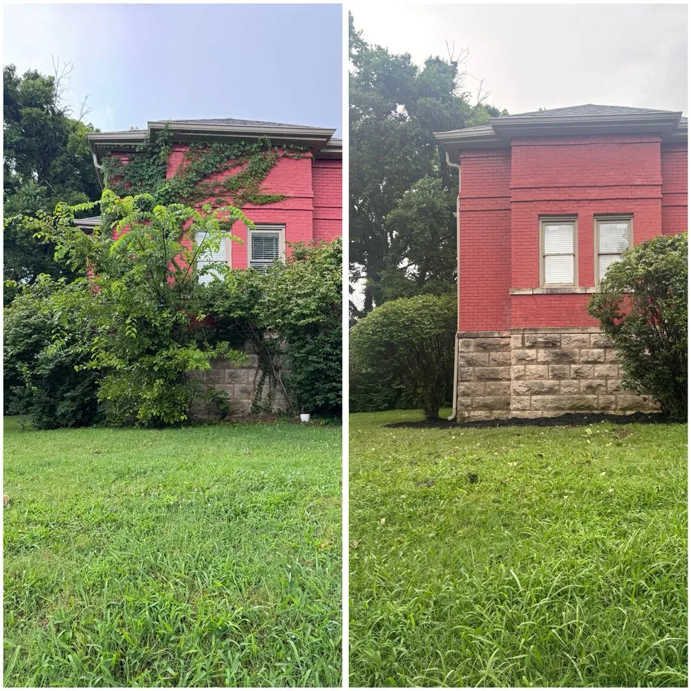 Top-rated yard maintenance in Nashville, TN by Clear Out Crew