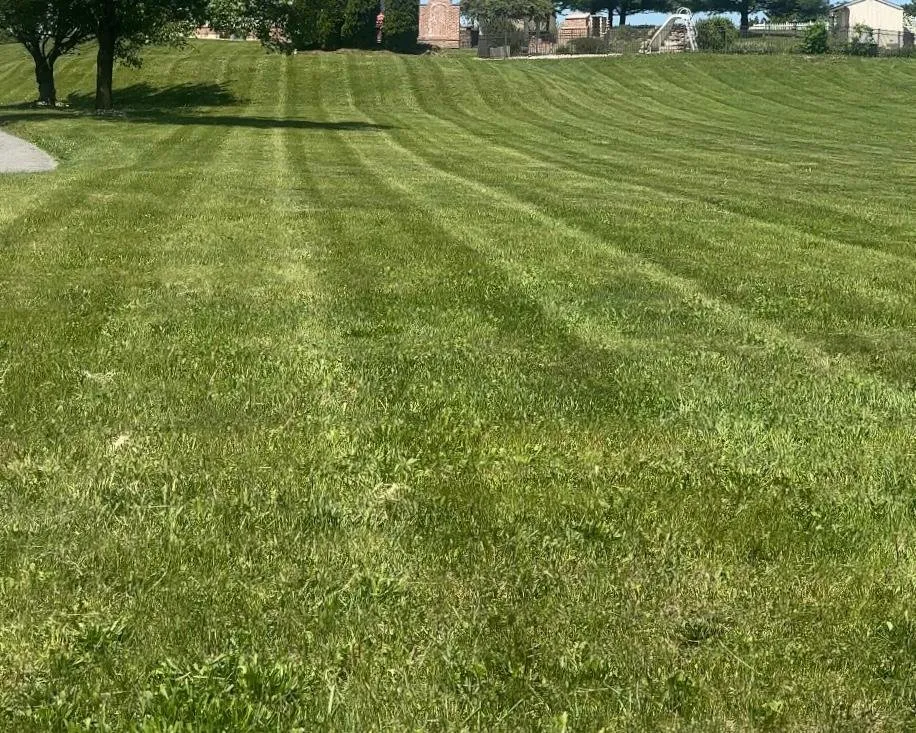 Custom outdoor landscaping for beautiful yards in Nazareth, PA by Clear Path Landscaping