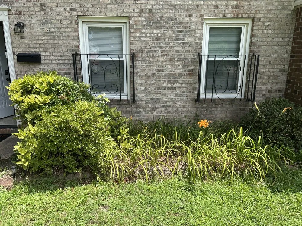 Top-rated landscape design in Virginia Beach, VA - Clear Path