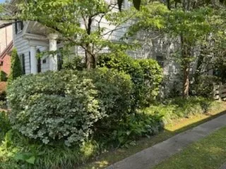 Reliable yard cleanup service in Virginia Beach, VA by Clear Path