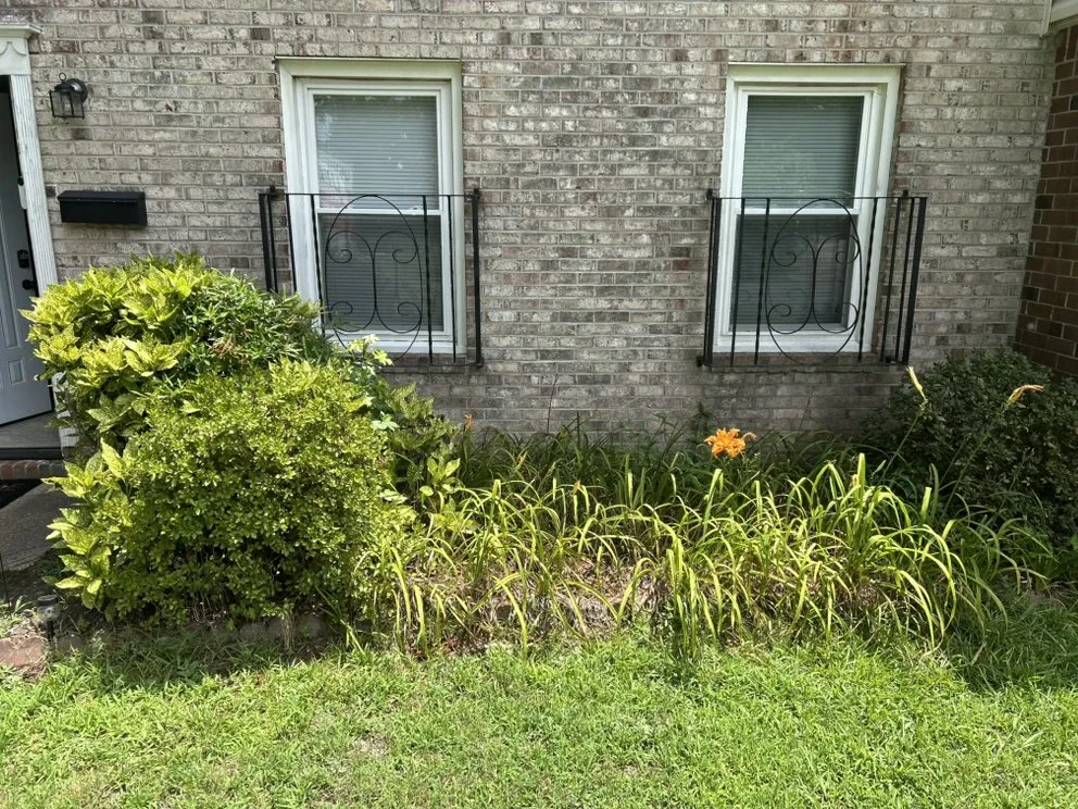 Expert landscape design in Virginia Beach, VA by Clear Path