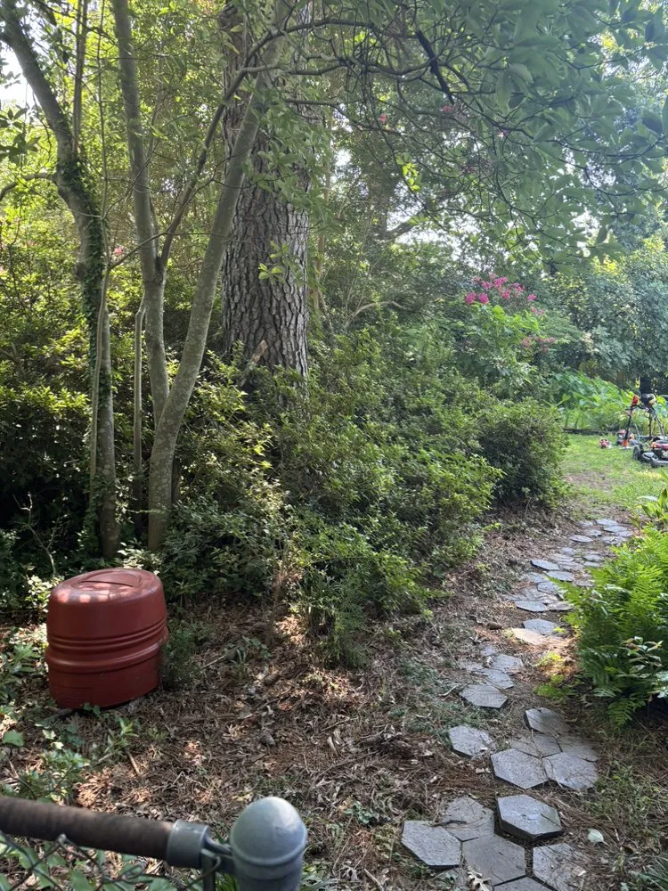 Custom landscaping services in Virginia Beach, VA - Clear Path