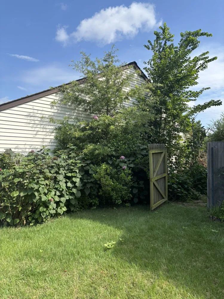 Affordable landscape installation in Virginia Beach, VA by Clear Path