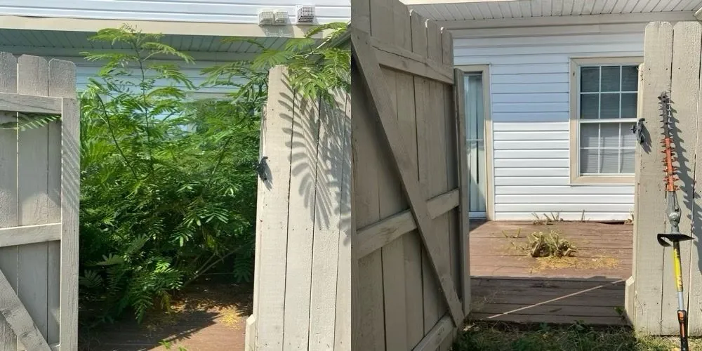 Custom lawn care service in Virginia Beach, VA by Clear Path