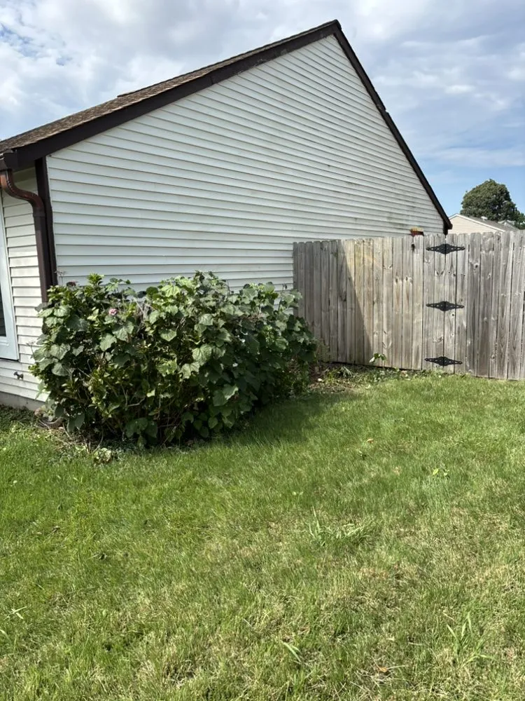 Professional yard cleanup service experts serving Virginia Beach, VA - Clear Path