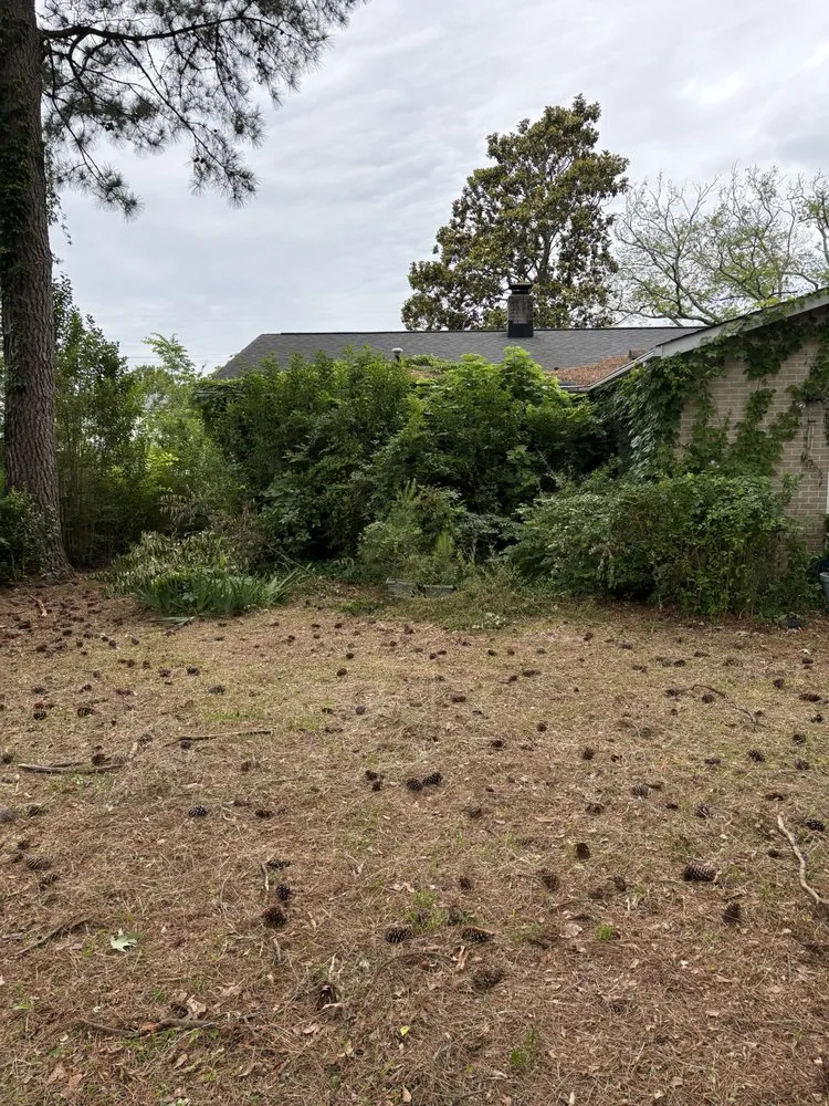 Expert landscaping services with custom design across Virginia Beach, VA - Clear Path