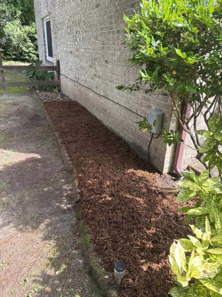 Trusted landscape installation experts serving Virginia Beach, VA - Clear Path