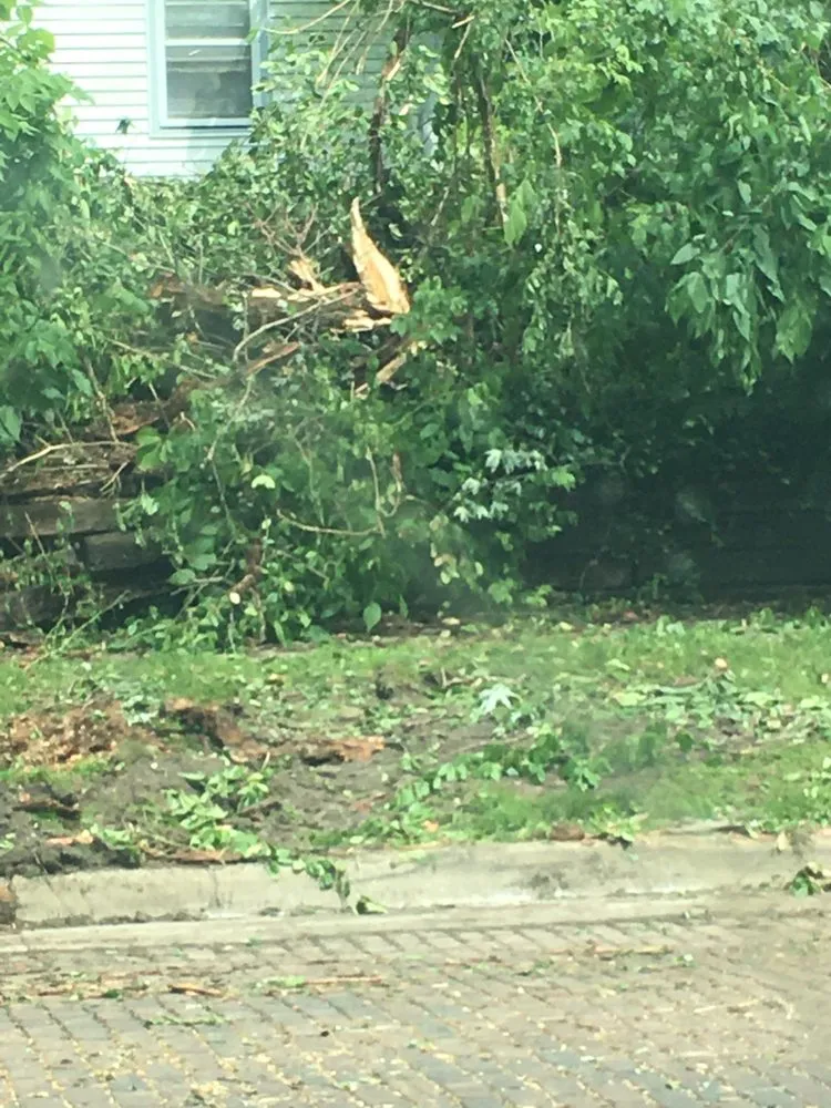 Local landscape design in Decatur, IL - Clear Point Property Preservation