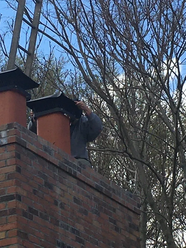 Professional landscape installation experts serving Decatur, IL - Clear Point Property Preservation