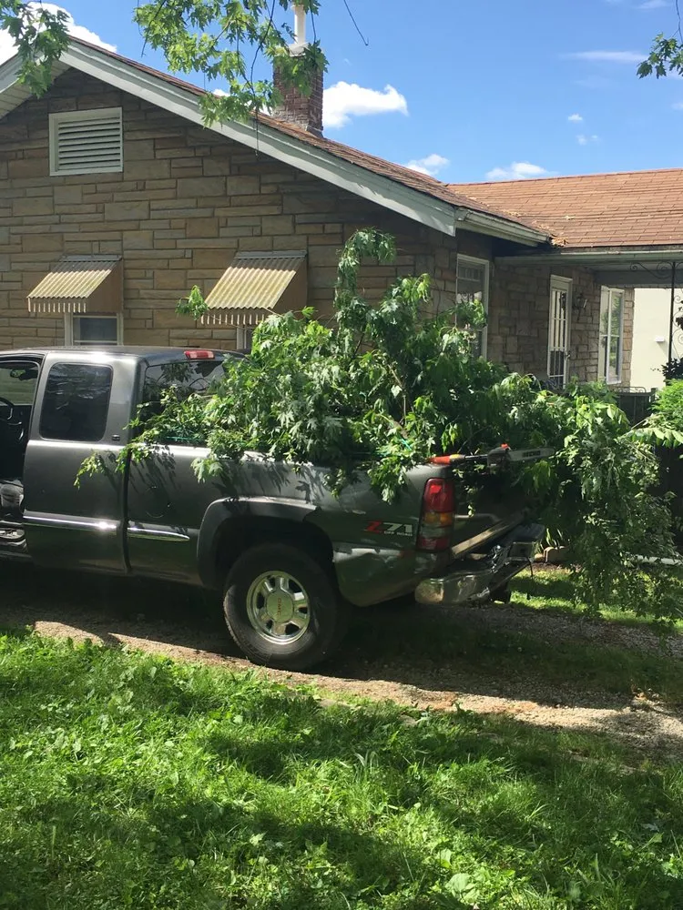 Trusted yard cleanup service experts serving Decatur, IL - Clear Point Property Preservation
