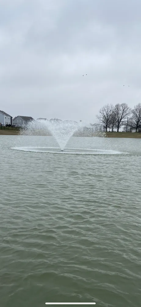 Local yard cleanup service in Shelbyville, IN by Clear Reflection Aquatics