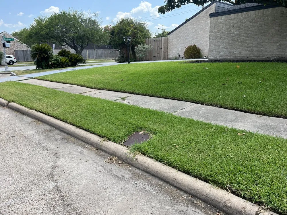 Expert yard maintenance for beautiful yards across Katy, TX - Clear Site Tree Service