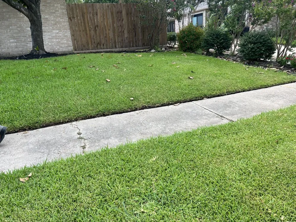 Local landscape design with custom design in Katy, TX by Clear Site Tree Service