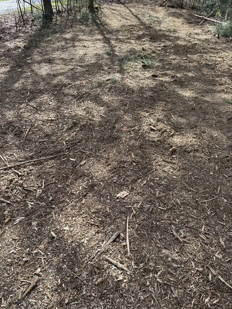 Professional garden landscaping for residential properties in Winder, GA by Clear View Forestry Services