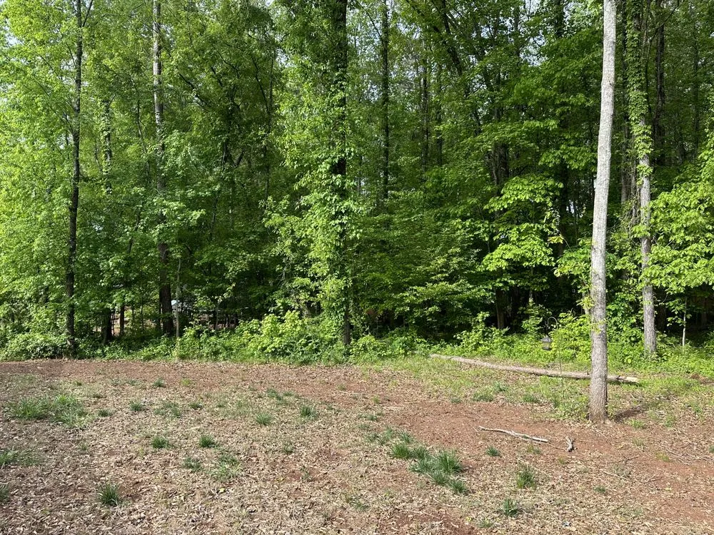 Expert landscape design for beautiful yards in Winder, GA by Clear View Forestry Services