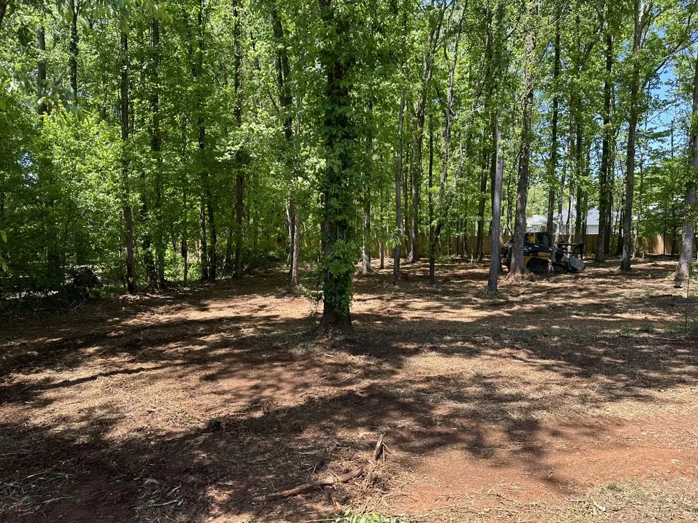 Reliable landscape installation with custom design across Winder, GA - Clear View Forestry Services