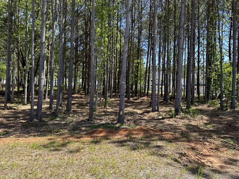 Local lawn mowing service experts serving Winder, GA - Clear View Forestry Services