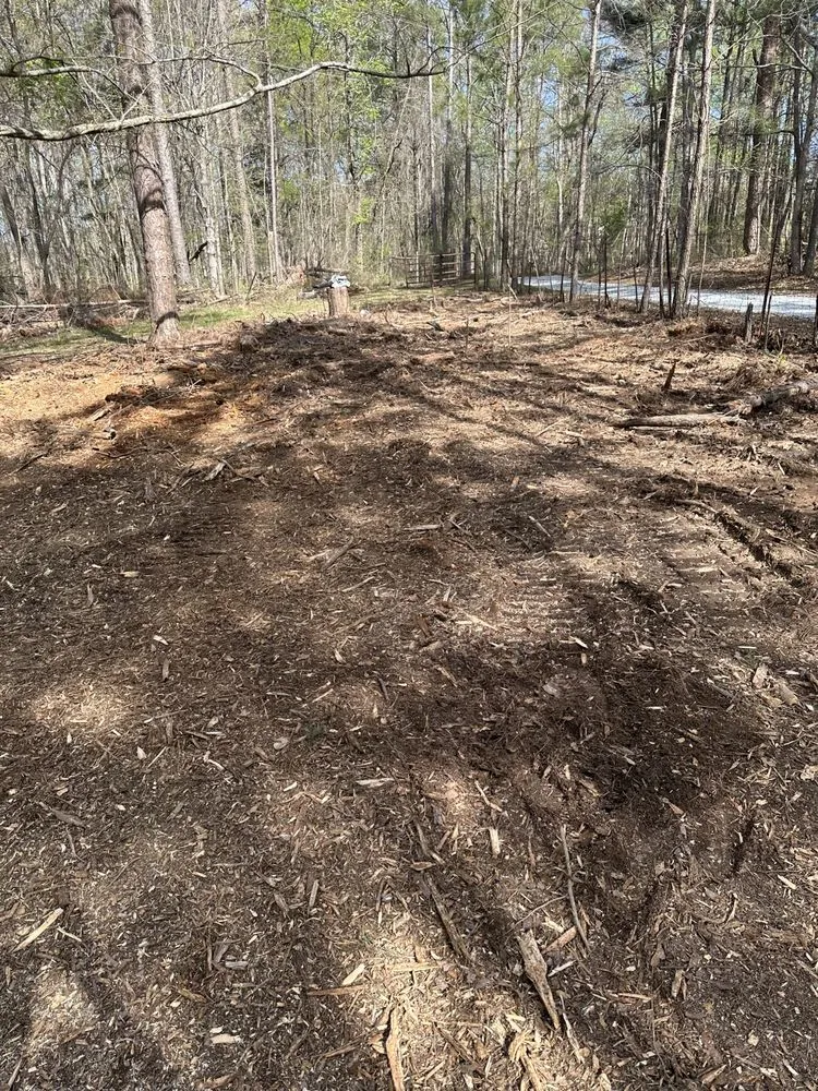 Reliable landscape design experts serving Winder, GA - Clear View Forestry Services