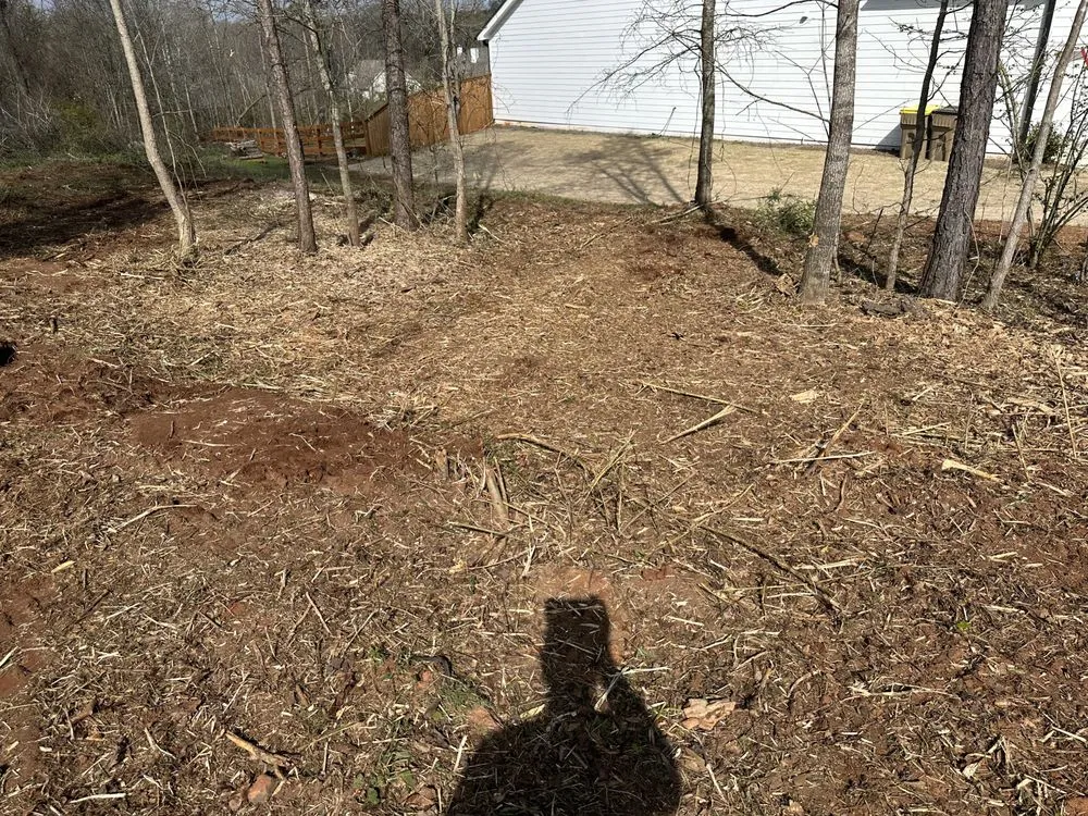Expert landscape installation for beautiful yards across Winder, GA - Clear View Forestry Services