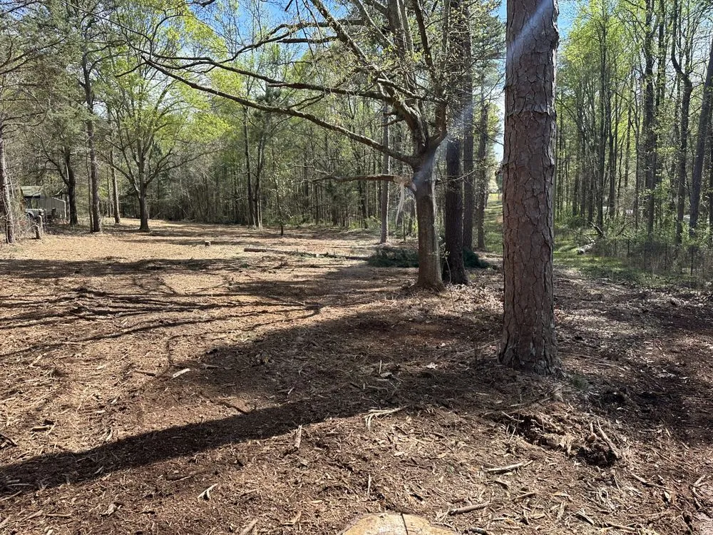 Local yard maintenance with custom design in Winder, GA by Clear View Forestry Services
