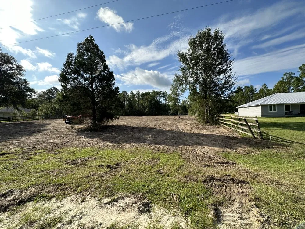 Affordable yard cleanup service in Fort McCoy, FL by Clear View Land Management