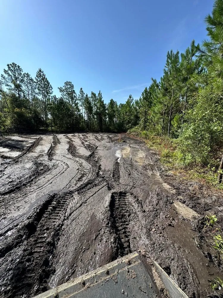 Reliable garden landscaping near you in Fort McCoy, FL by Clear View Land Management