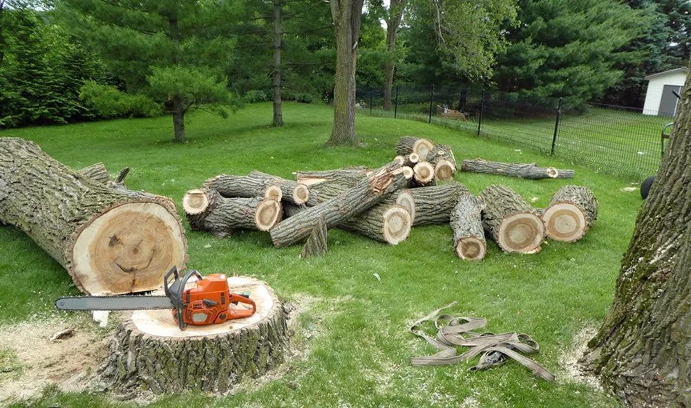 Top-rated landscape installation in Knoxville, TN by Clear View Land Services