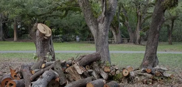 Clear View Land Services Logo