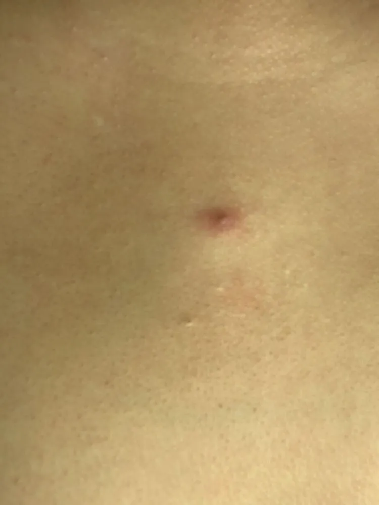 Reliable yard cleanup service in Rosenberg, TX by Clear View Lawn & Wash