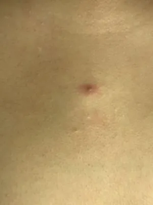 Clear View Lawn & Wash Logo