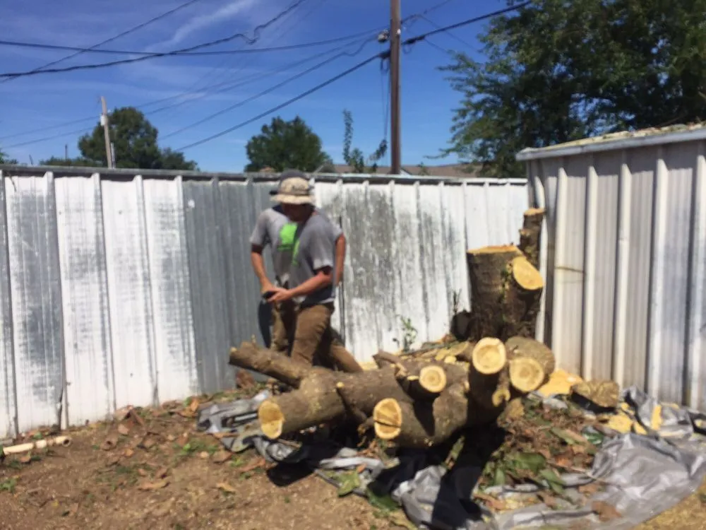 Reliable yard cleanup service near you across Edmond, OK - Clear View Tree Service