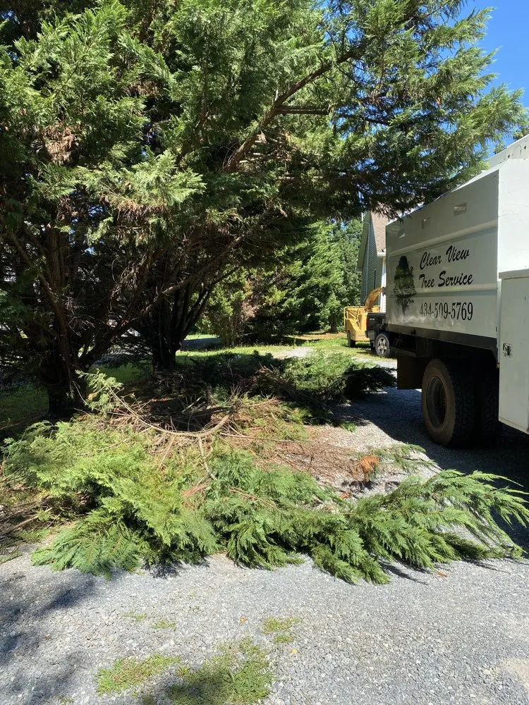 Reliable outdoor landscaping in Rustburg, VA by Clear View Tree Service