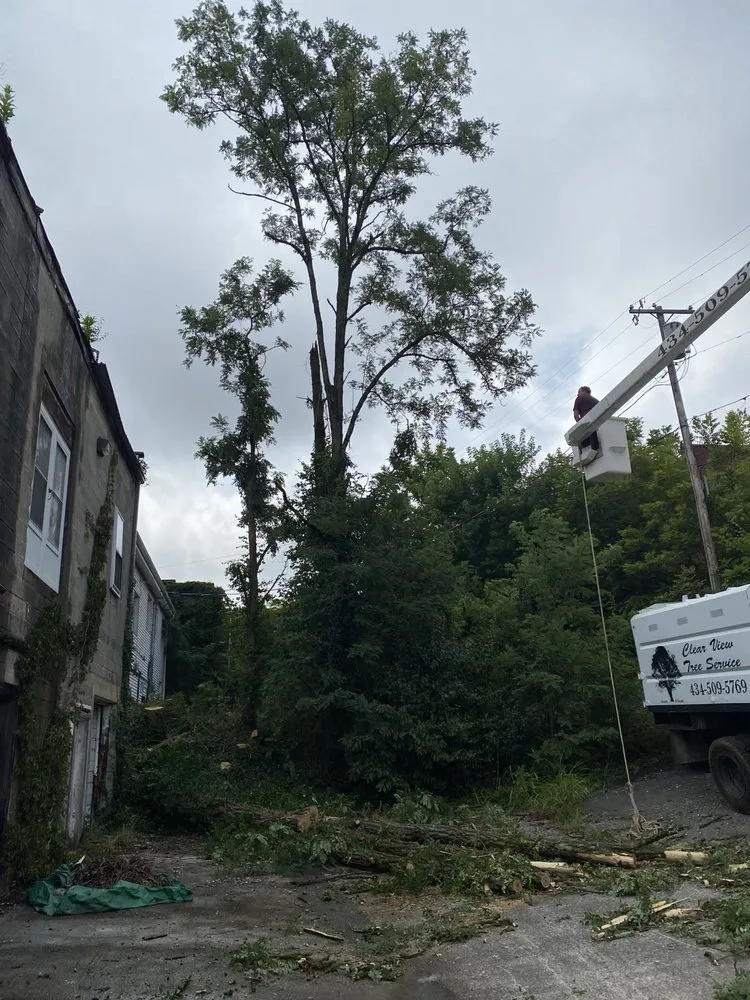 Custom yard maintenance for outdoor upgrades in Rustburg, VA by Clear View Tree Service