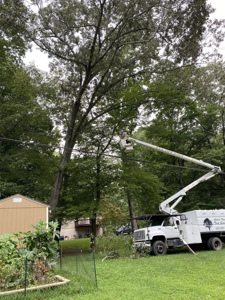 Top-rated landscape design for homes across Rustburg, VA - Clear View Tree Service