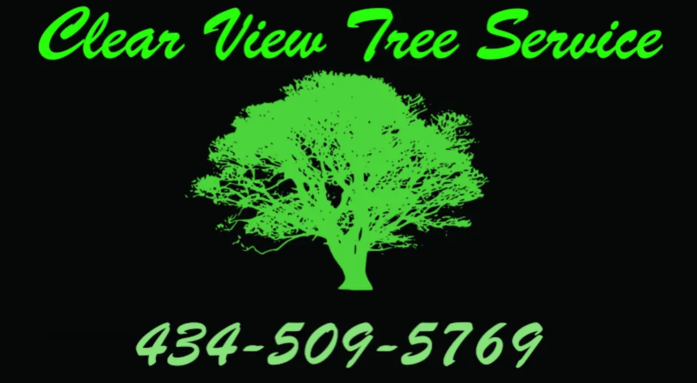 Expert yard maintenance experts serving Rustburg, VA - Clear View Tree Service