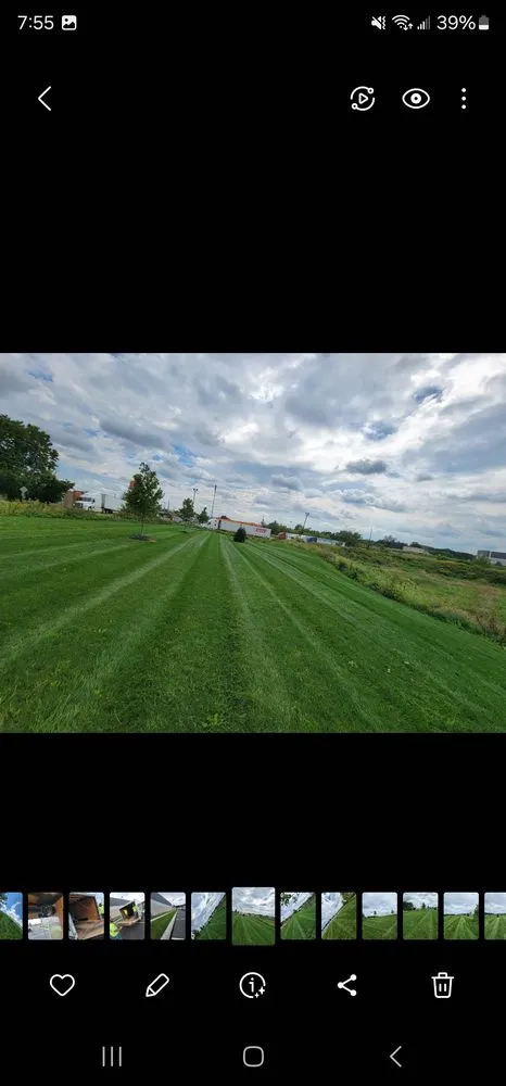 Reliable yard maintenance in Orangeville, PA by Clear Vision Landscaping