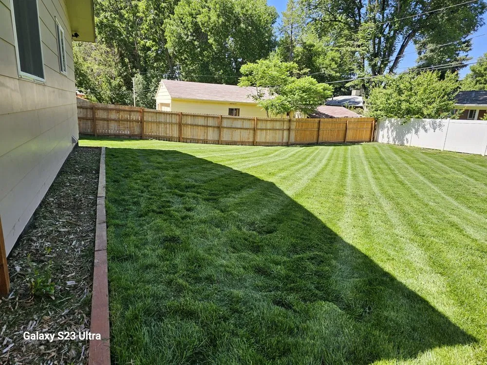 Trusted lawn mowing service in Westminster, CO by Clear Vision Lawn Care