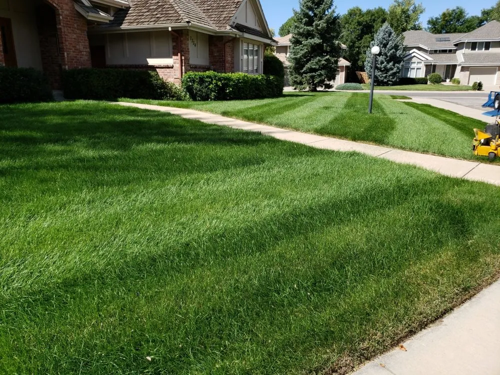 Top-rated landscaping services experts serving Westminster, CO - Clear Vision Lawn Care