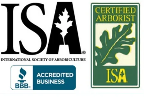 Professional landscape design in Denver, CO - Clear Water Cleaning & Landscaping