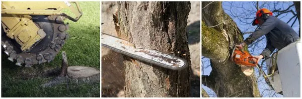 Clear Water Cleaning & Landscaping Logo