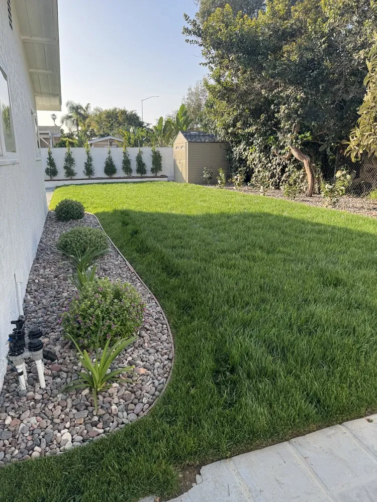 Local lawn care service experts serving Solana Beach, CA - Clear Water Landscapes