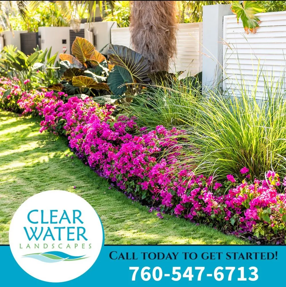 Local lawn care service experts serving Solana Beach, CA - Clear Water Landscapes