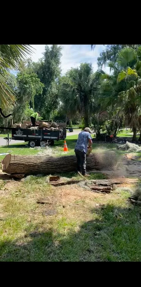Professional residential landscaping in Haines city, FL by Clear Water Lawn Pros