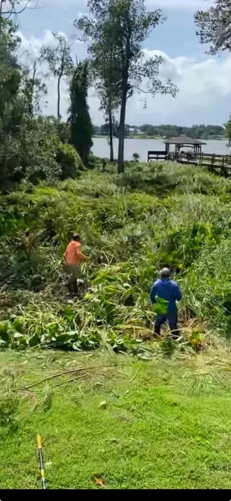 Local residential landscaping experts serving Haines city, FL - Clear Water Lawn Pros