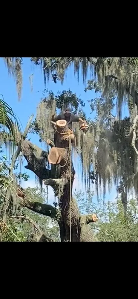 Expert lawn mowing service in Haines city, FL - Clear Water Lawn Pros