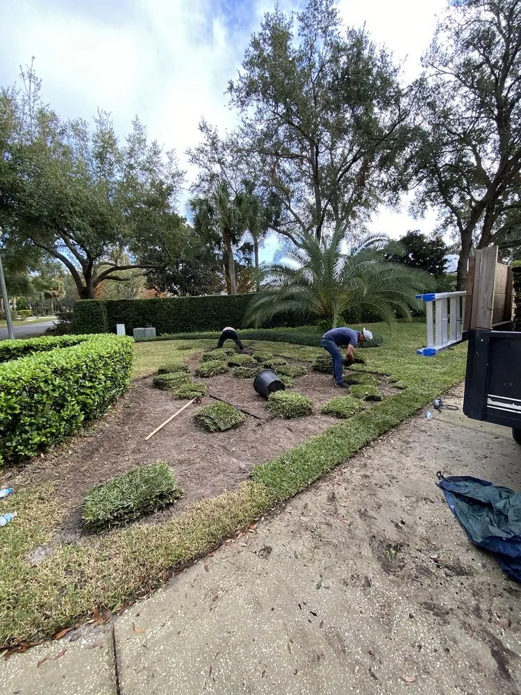 Trusted landscape design for homes in Haines city, FL by Clear Water Lawn Pros